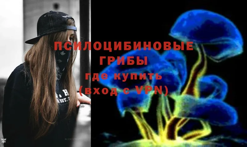 мега онион  Светлоград  Псилоцибиновые грибы Psilocybe 